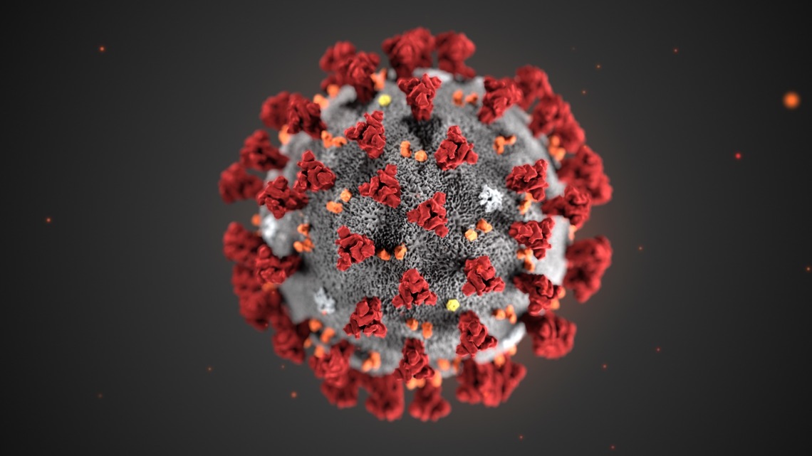 An illustration of the 2019 novel coronavirus. The virus was identified as the cause of an outbreak of respiratory illness first detected in Wuhan, China. 
